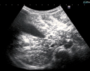 I20110401154723734.jpg