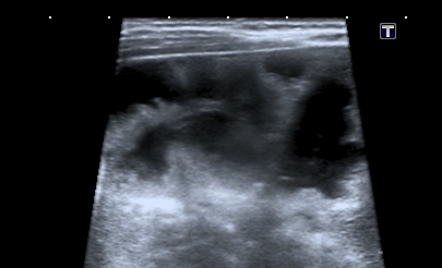 I20110401154724312.jpg