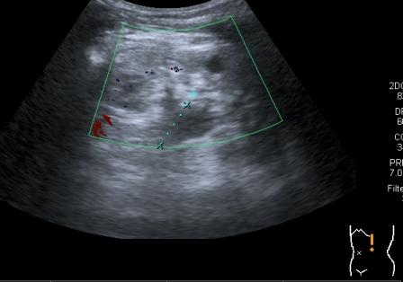 I20111014154007546.jpg
