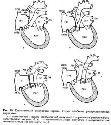 image174.jpg