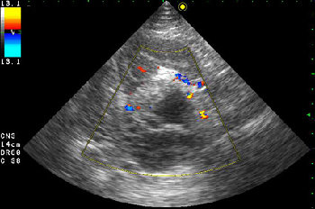 AAGP2.jpg (30.4 КБ) 1634 просмотра Образование в режиме ЦДК.